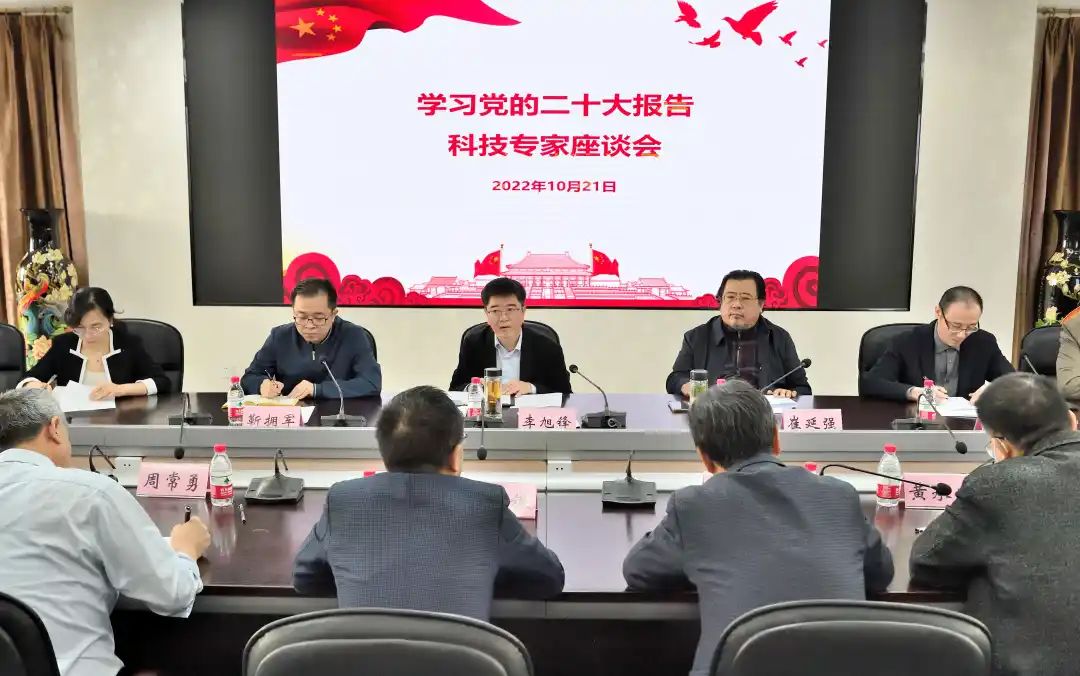 01.jpg 图片